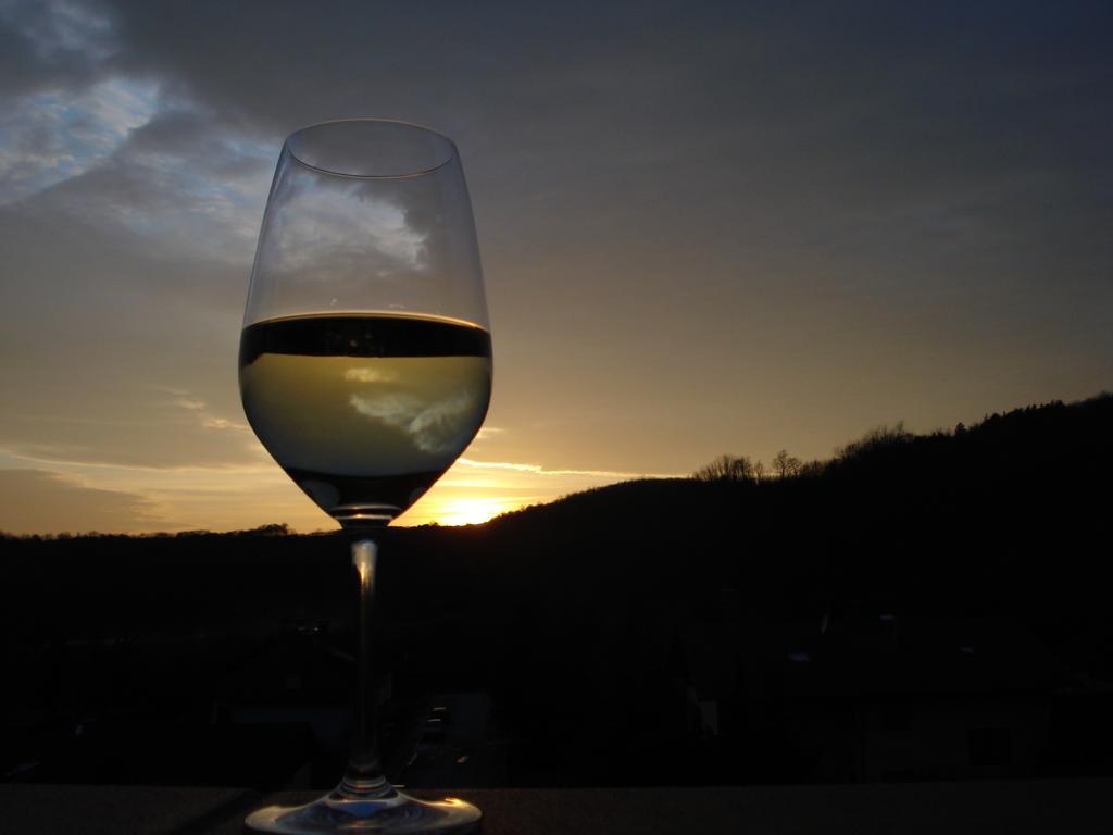 Pension Rudi - Weingut Kellner 호텔 Pulkau 외부 사진