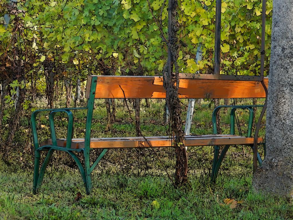 Pension Rudi - Weingut Kellner 호텔 Pulkau 외부 사진
